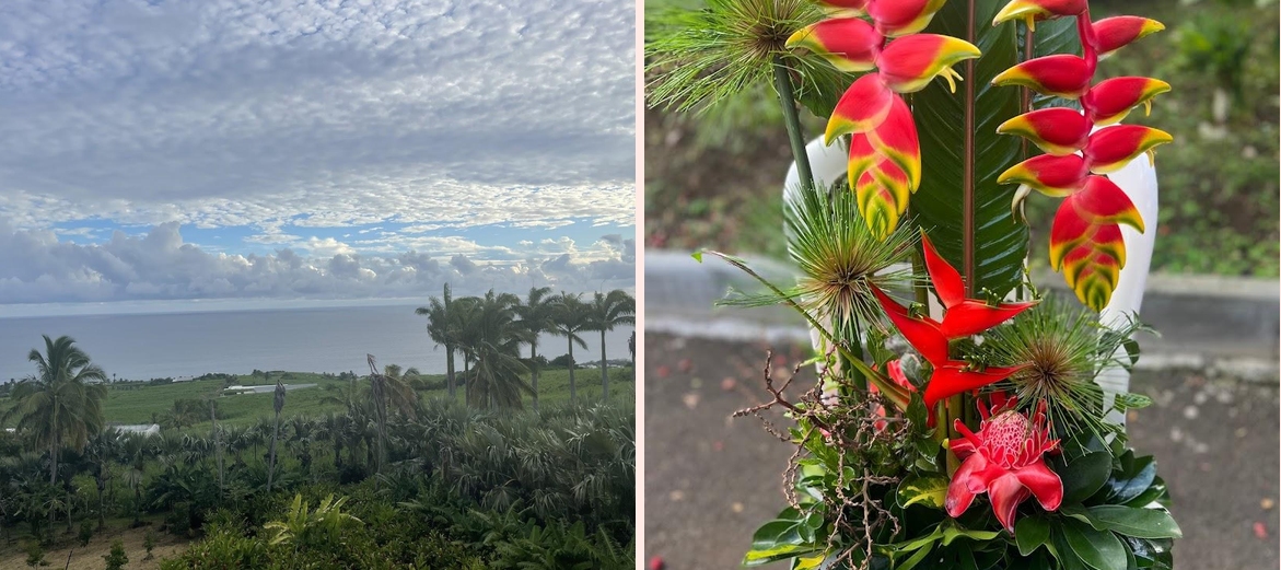 Domaine des Mille cocos - Photo 1