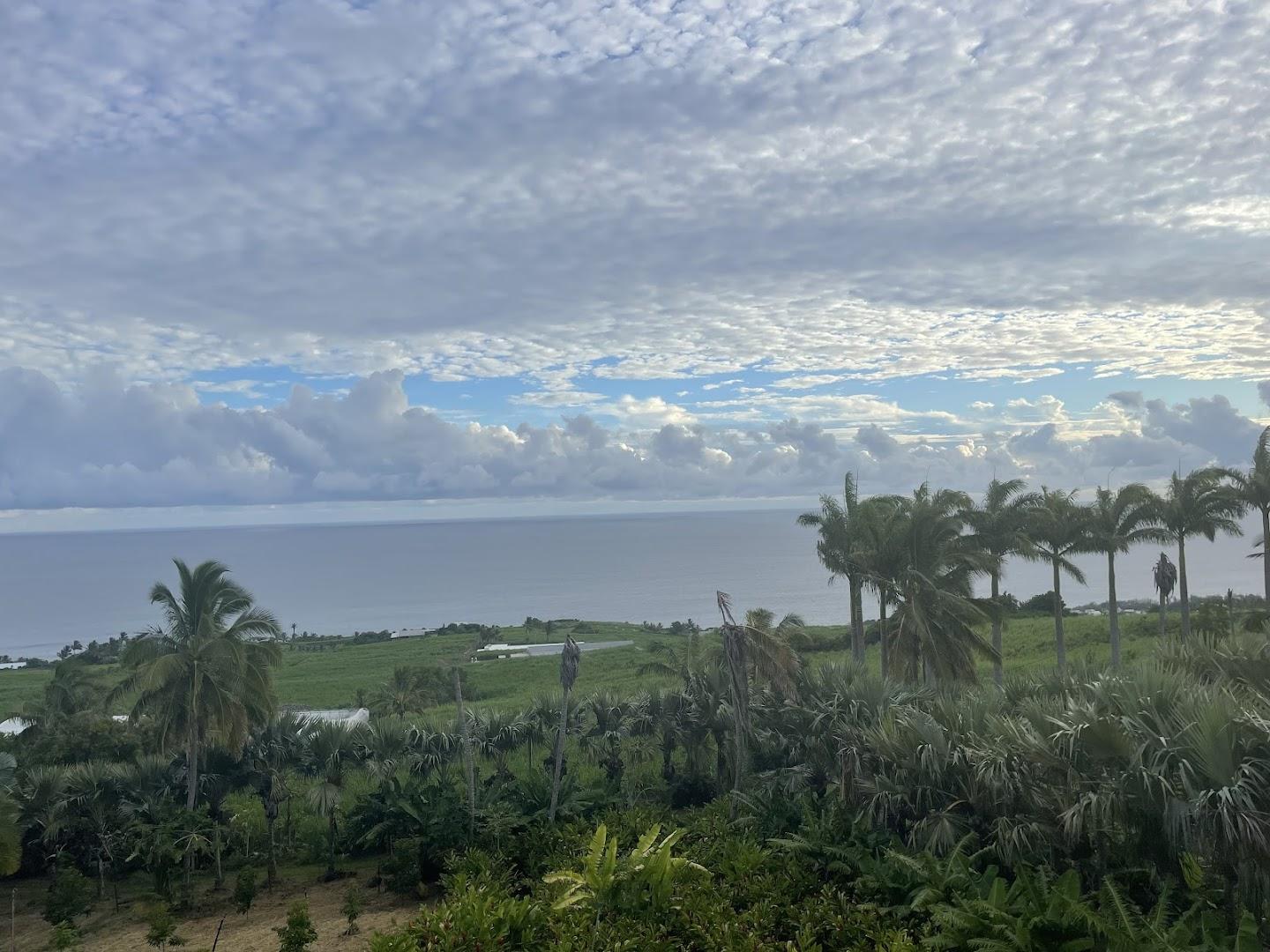 Domaine des Mille cocos - Photo 3