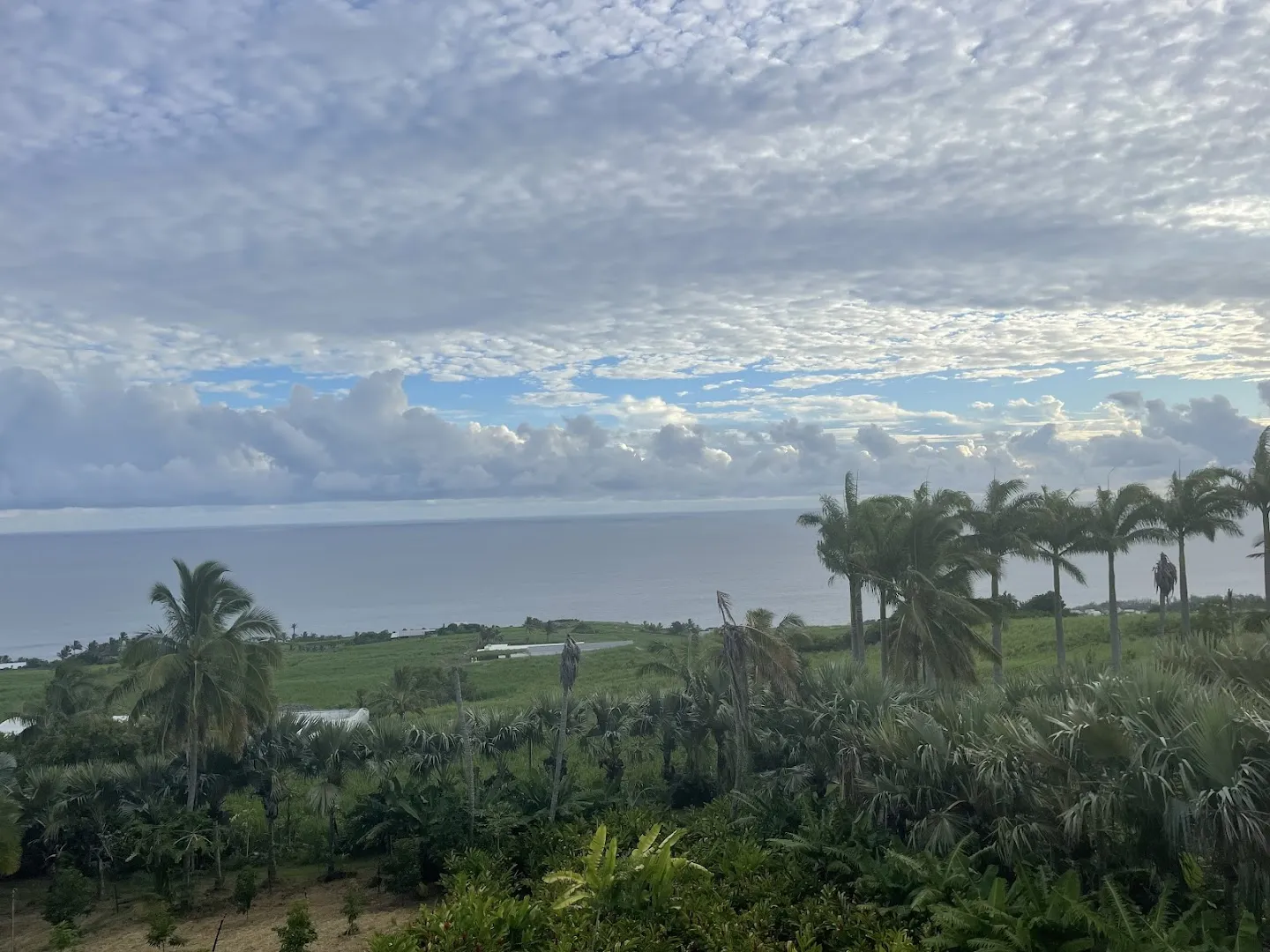 Domaine des Mille cocos